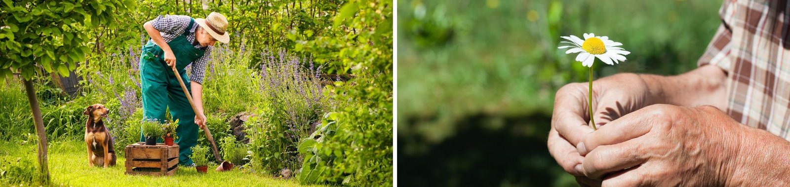 Gartenarbeit und Gesundheit: 5 überzeugende Gründe, warum Gartenarbeit so gut tut