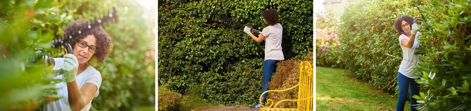 Hecke richtig schneiden: Anleitung für einen gesunden Rücken & perfekte Sträucher