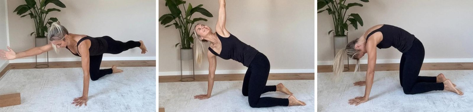 Yoga oder Pilates: Was ist besser für den Rücken?